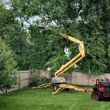 Hot Springs, AR Tree Services Company